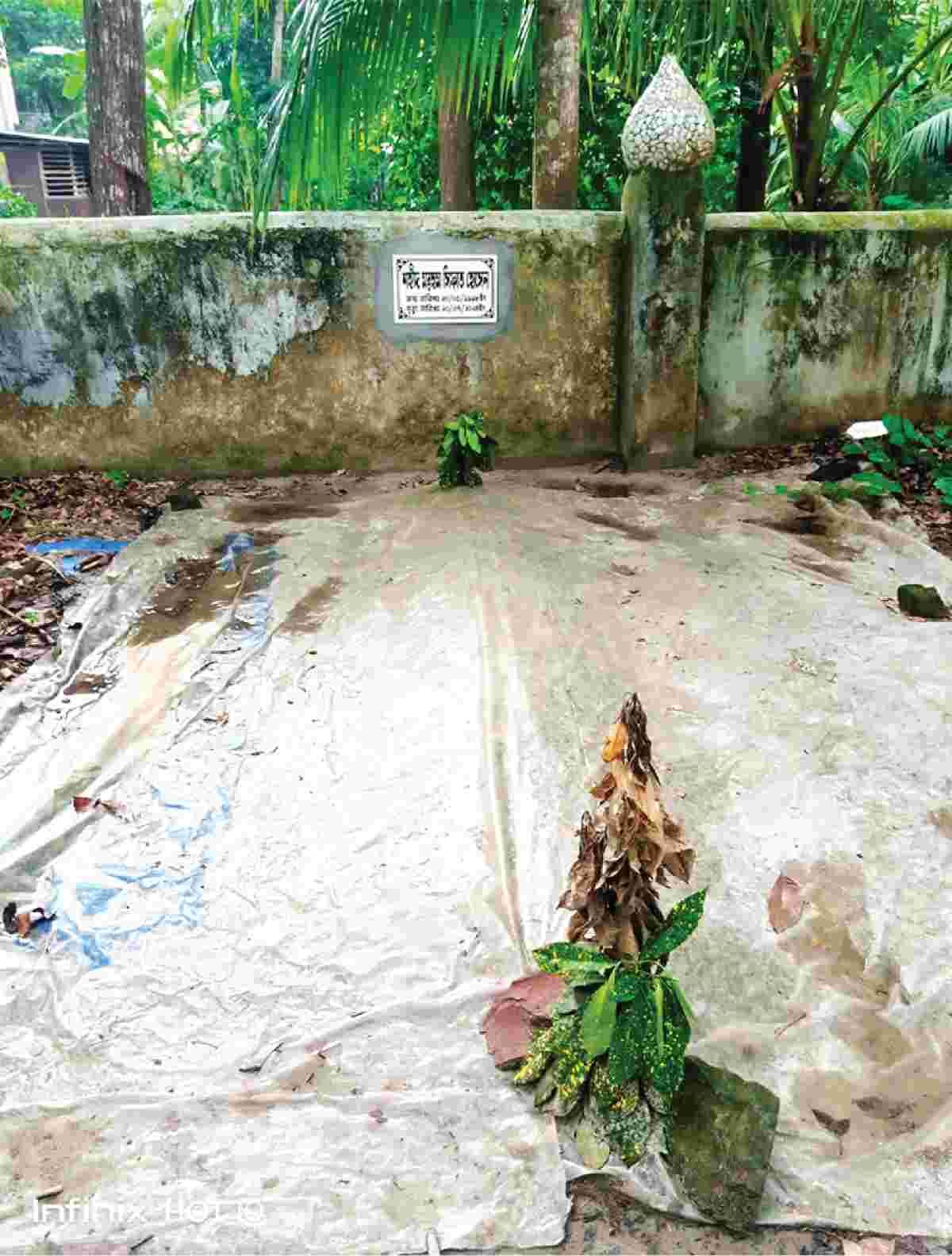 Image of মোঃ সিফাত হোসেন
